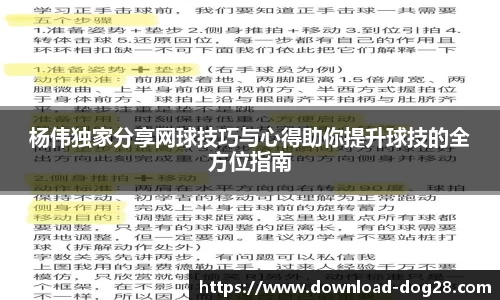 杨伟独家分享网球技巧与心得助你提升球技的全方位指南